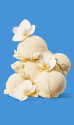 Ultimate 42g Vanilla Protein Shake